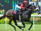 Dream On (Barend Vorster) proves too strong for Super Victory in Race 5 on Sunday.<br>Photo by Singapore Turf Club